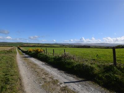 Picture 10